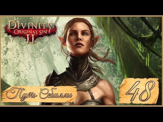 Divinity: Original Sin II  48: Особняк Райкера.