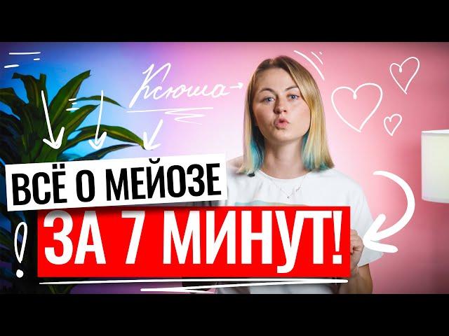 Все о мейозе за 7 минут! | ЕГЭ по биологии | Ксения Напольская | 100балльный репетитор