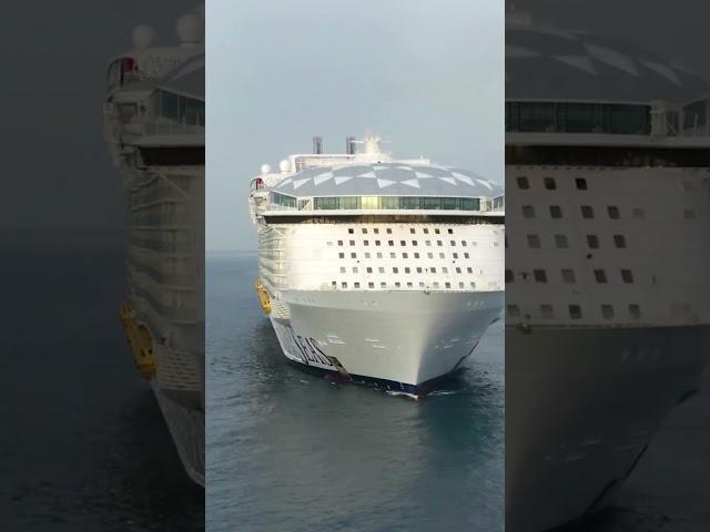 A Look At Wonder of the Seas #shorts