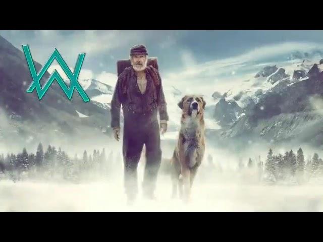 Alan Walker - The True Leader (Official Video)