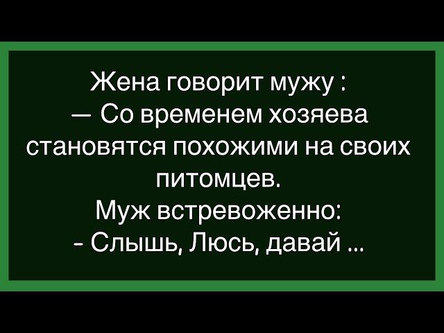 Как Бык И Лев Пошли По Девочкам!Сборник Свежих Смешных Анекдотов!Юмор!Настроение!