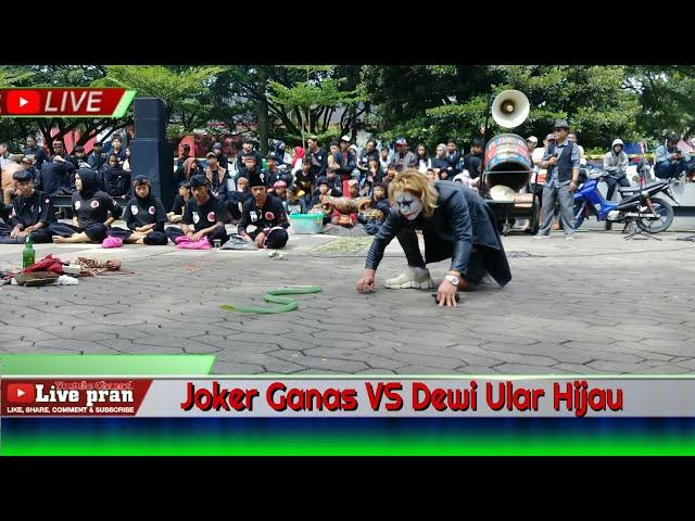 Atraksi Joker Ganas Dengan Dewi Ular Hijau Yang Berbisa