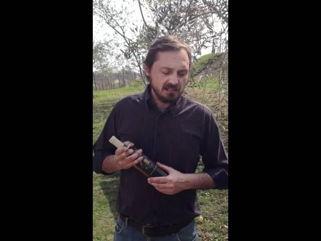 Marco Cecchini discusses Picolit