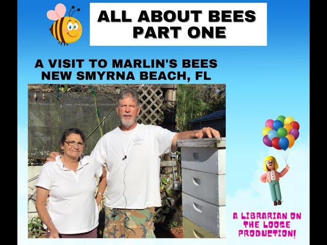 All About Bees - Part 1