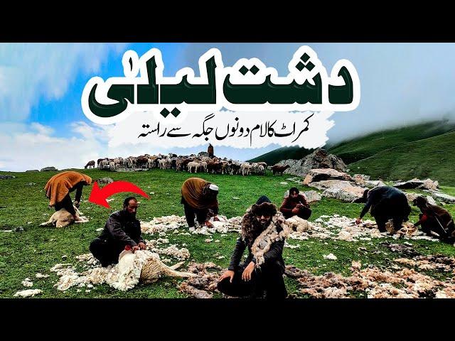 Hidden Meadows of Swat | Dasht e Laila Badgoi top | most beautiful places of Pakistan