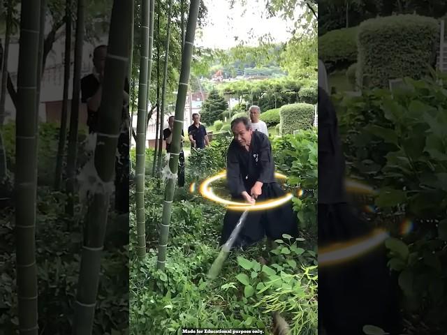Mastering Sword Cutting Technique