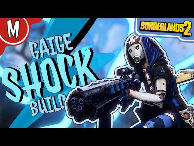 Gaige Shock Trooper Build (Borderlands 2)