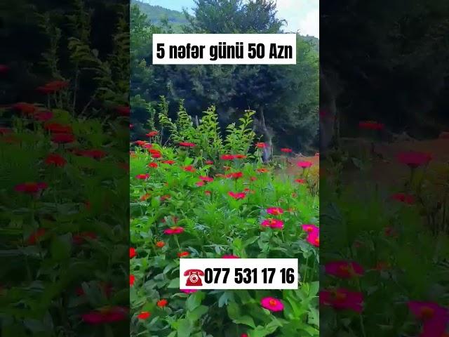 Lerik kirayə ev #lerik #kirayəevlər #lənkəran #təbiət