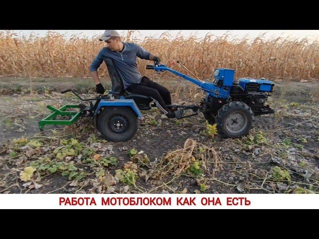 ПОЧЕМУ РАНЬШЕ ТАК НЕ ДЕЛАЛ, РАБОТА МОТОБЛОКОМ КАК ОНА ЕСТЬ / WORKING WITH A MINITRACTOR AS IT IS