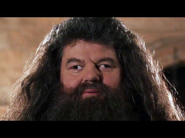 MAD HAGRID