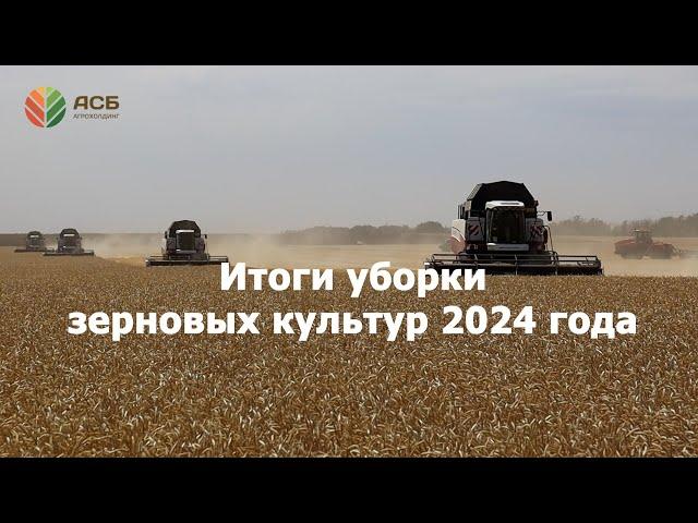 Итоги уборки зерновых культур 2024 года