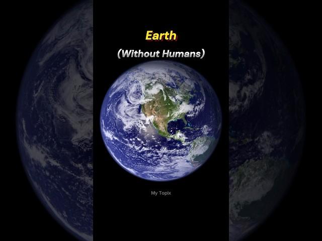 Earth Without Humans  #mytopix #youtube #viral #shorts #earth #moyemoye