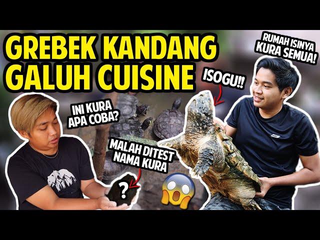 GREBEK SEMUA KOLEKSI HEWAN GALUH CUISINE TERLENGKAP! RUMAH KOK ISINYA KURA SEMUA! #GREBEKKANDANG