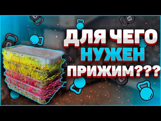 Прижим для микрозелени! Для чего он нужен? Бизнес микрозелень!