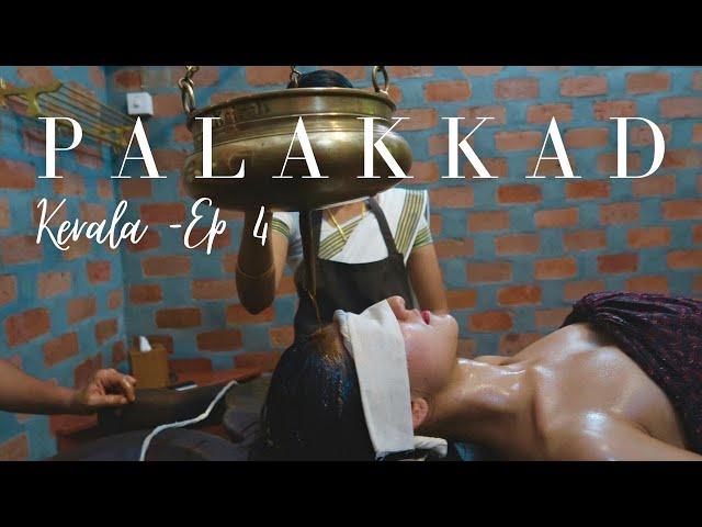 Palakkad's Life Changing Ayurveda Experience - Kerala Vlog | Kerala Ep 4 | Talkin Travel