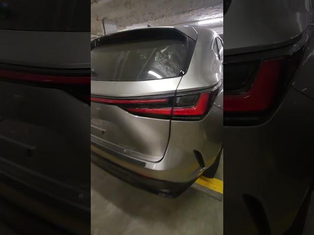 2024 Lexus Nx250 Awd #2024 #lexus #lexussociety #automobile #lexusnx250