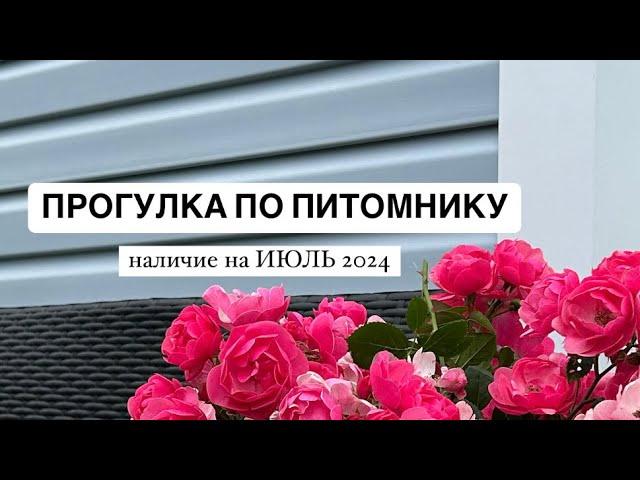 ОБЗОР ПЛОЩАДКИ | показываем наличие растений