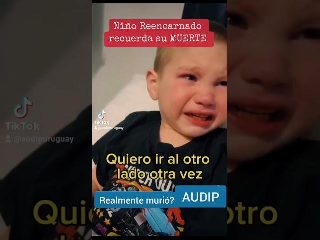 Niño Reencarnado recuerda su MUERTE.