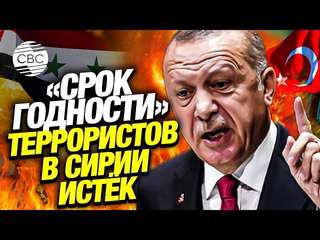 Эрдоган подтвердил: Турция готова начать зачистку севера Сирии от террористов!