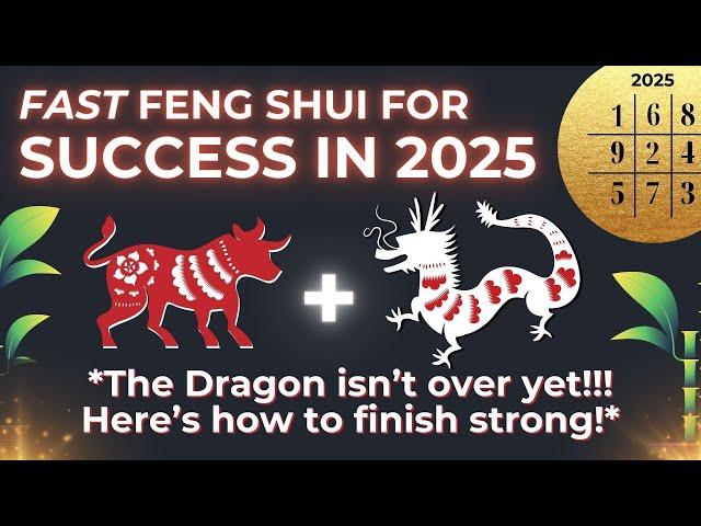 January 2025 Feng Shui with Flying Star Analysis For Success