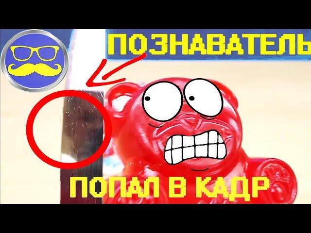 ЛИЦО ПОЗНАВАТЕЛЯ! ЖЕЛЕЙНЫЙ МЕДВЕДЬ ВАЛЕРА ПОКАЗАЛ ЛИЦО ПОЗНАВАТЕЛЯ! КАК ВЫГЛЯДИТ ПОЗНАВАТЕЛЬ