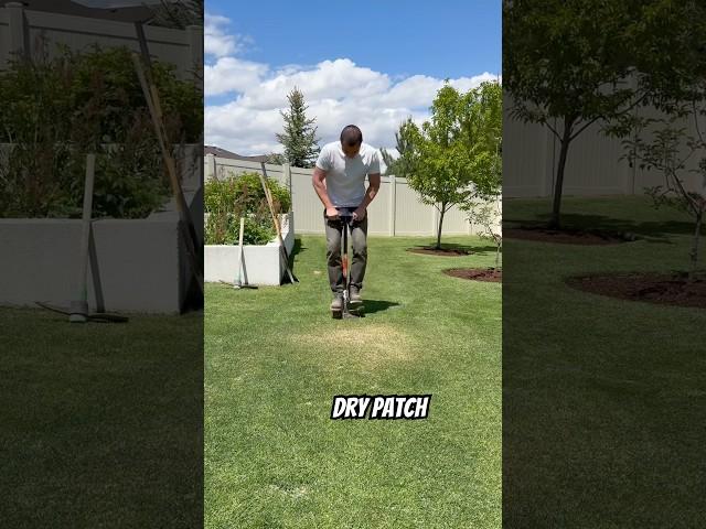 What’s under the dry patch on my lawn?
