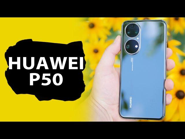 Опыт эксплуатации Huawei P50: шикарный экран и отличные камеры