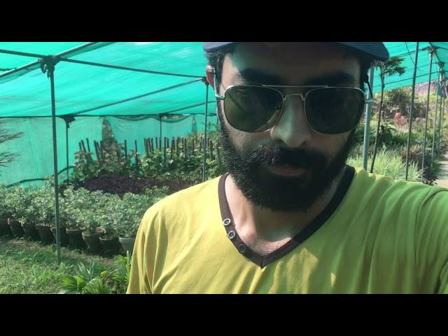 Visit nurcry farms in Sialkot vlog