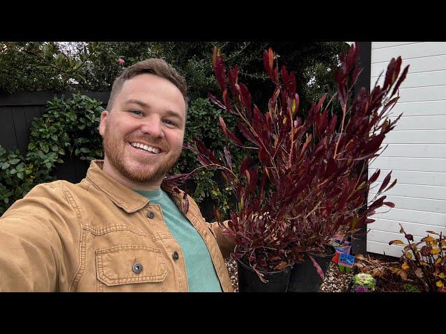 Surprising Grandpa With A Puppy & Planting A Color-Changing Evergreen || Visit Our Garden