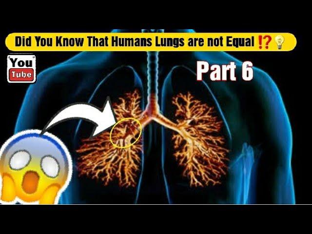 25 Surprising Facts About Human Lungs [Part 6]