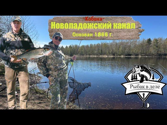 Рыбалка на новоладожском канале/Ловля Плотвы на фидер/#рыбаквделе#плотва#рыбалка#фидер