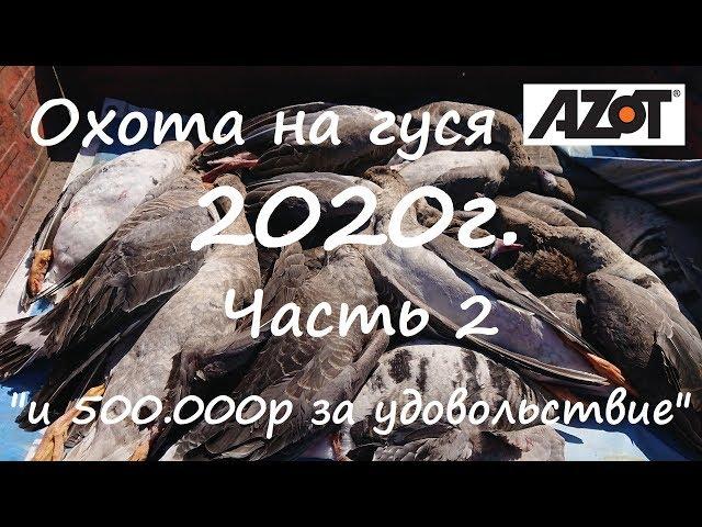 Охота на гуся 2020г. Часть 2. Охота на гуся и 500.000р за удовольствие.