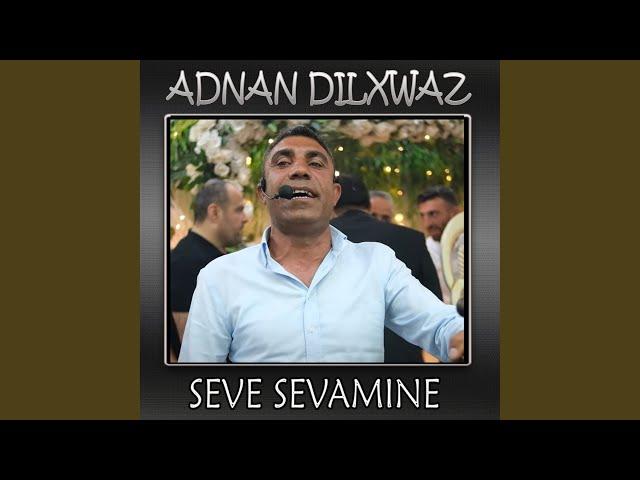 Seve Sevamıne