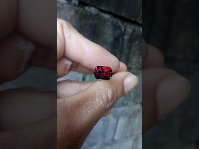 Faceted Almandine Garnet