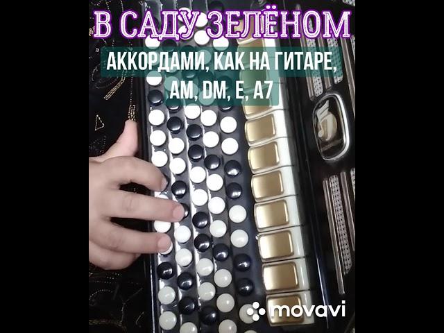 БАЯН"В САДУ ЗЕЛЁНОМ РОЗА ЦВЕЛА"БЕЗ НОТ АККОРДАМИ Am, Dm, E, A7,КАК НА ГИТАРЕ.RUSSIAN SONG.