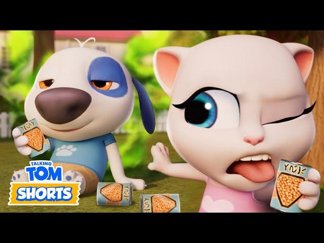 2023 MEGA Marathon  Talking Tom Shorts | Fun Cartoon Collection