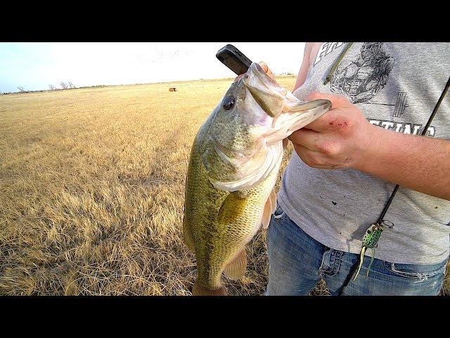 my BEST day Pond Fishing EVER!!!