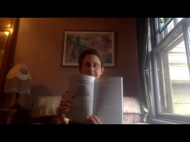 LibraryAnn reads Rabbi Rocketpower and the Half-Baked Matzah Mystery, chapters 1 and 2.