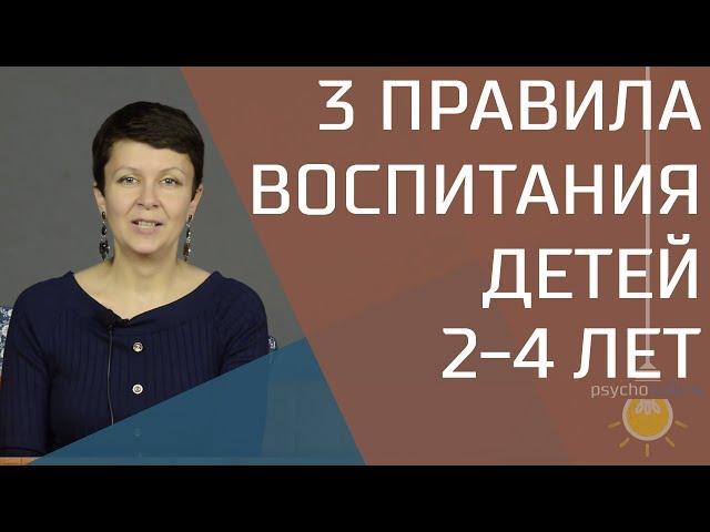 3 правила воспитания ребенка от 2 до 4 лет. Психология переходного возраста.