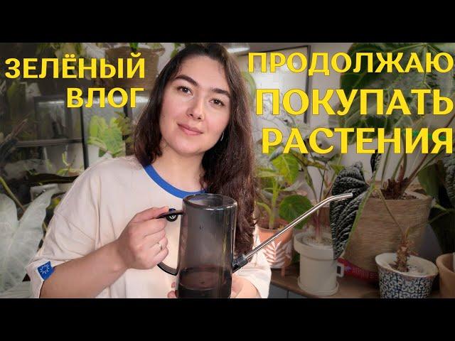 умудрилась КУПИТЬ РАСТЕНИЯ не выходя из ДОМА | распаковываю, ПЕРЕСАЖИВАЮ новинки |УЮТНЫЙ ДЕНЬ ухода🪴