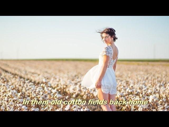 Cotton Fields (1969)  -  CREEDENCE CLEARWATER REVIVAL (CCR)  - Lyrics