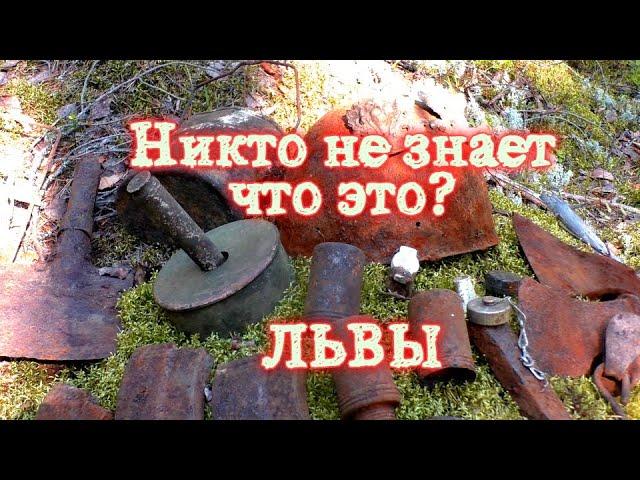 Львы в Карельских Лесах | я в шоке!