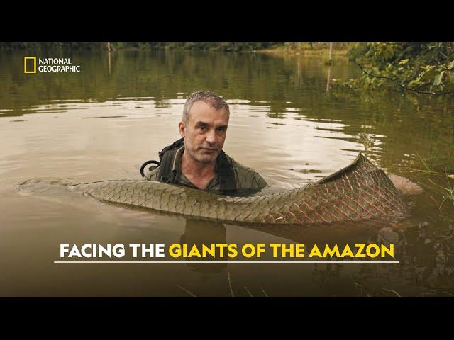 Piranhas and Anacondas | Last of the Giants: Wild Fish | हिंदी | S1 - E5 | Nat Geo