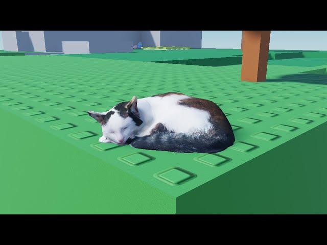 Sleeping Cat Simulator