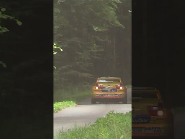 Yellow Seat Rally Madness: High-Speed Action | Your Daily Dose of Rally