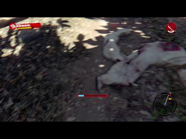 Dead Island - Definitive Edition error