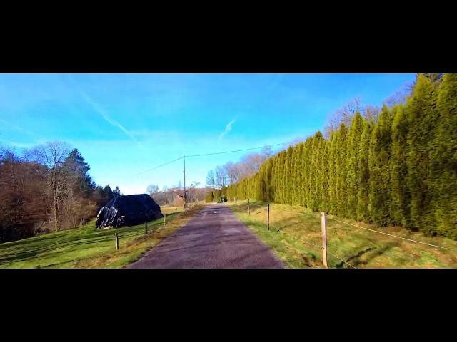 France: The Ballons des Vosges Regional Nature Park