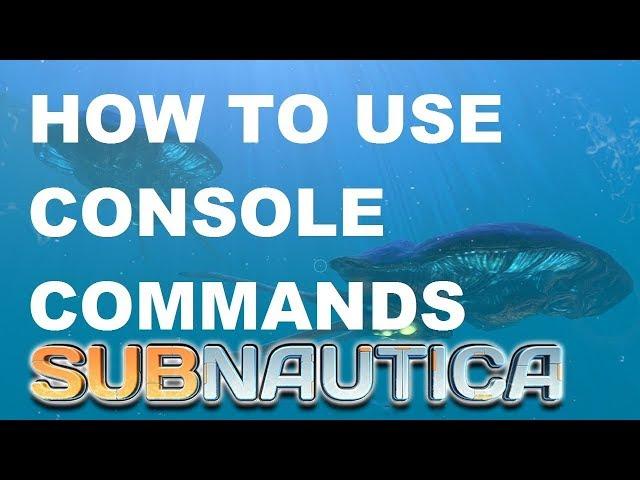 How to use Console Commands On Subnautica