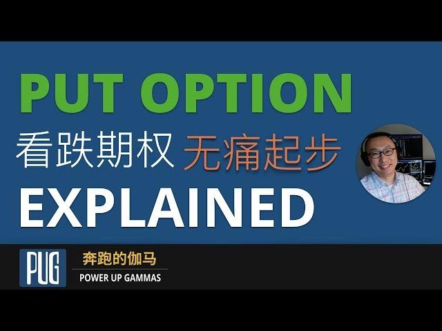 期权怎么玩 | 看跌期权(Put Option)无痛起步（走好进入期权市场的第一步）The Ultimate Guide to Put Options