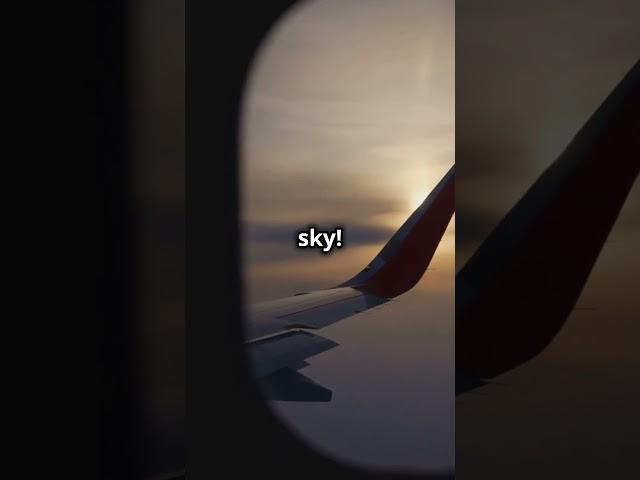 Mind Blowing Facts About the World's Longest flight! ️  #travel #aviation #facts #longestflight